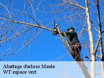 Abattage d'arbres maule-78580 WT espace vert