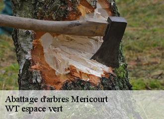 Abattage d'arbres mericourt-78270 WT espace vert