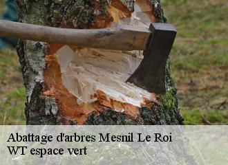 Abattage d'arbres mesnil-le-roi-78600 WT espace vert