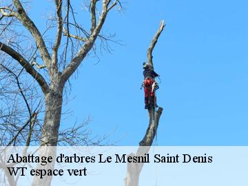 Abattage d'arbres le-mesnil-saint-denis-78320 WT espace vert