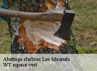 Abattage d'arbres les-mesnuls-78490 WT espace vert