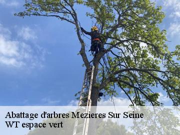 Abattage d'arbres mezieres-sur-seine-78970 WT espace vert