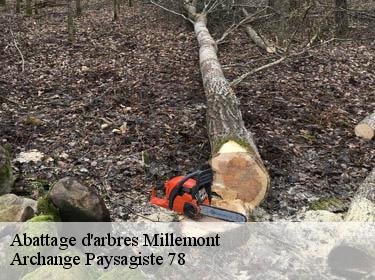 Abattage d'arbres  millemont-78940 Archange Paysagiste 78