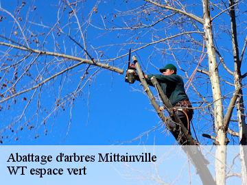 Abattage d'arbres mittainville-78125 WT espace vert