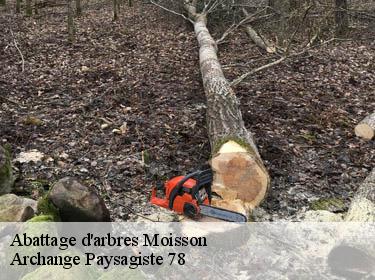 Abattage d'arbres  moisson-78840 Archange Paysagiste 78