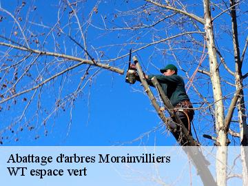 Abattage d'arbres morainvilliers-78630 WT espace vert
