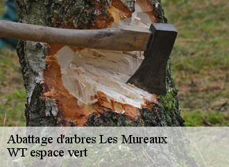 Abattage d'arbres les-mureaux-78130 WT espace vert
