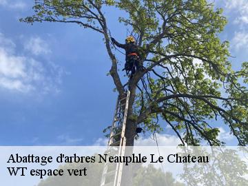Abattage d'arbres neauphle-le-chateau-78640 Archange Paysagiste 78