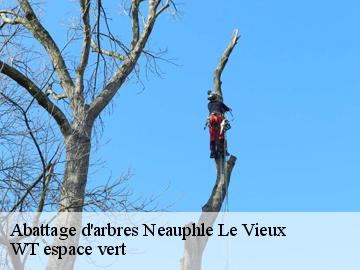 Abattage d'arbres neauphle-le-vieux-78640 WT espace vert
