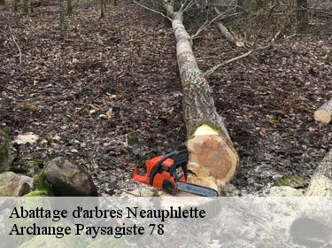 Abattage d'arbres  neauphlette-78980 Archange Paysagiste 78