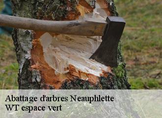 Abattage d'arbres neauphlette-78980 WT espace vert