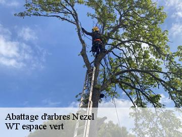 Abattage d'arbres nezel-78410 WT espace vert
