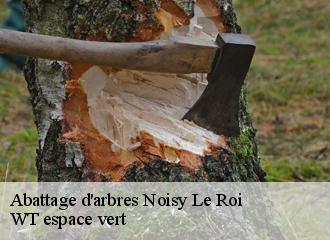Abattage d'arbres  noisy-le-roi-78590 WT espace vert 