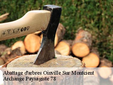 Abattage d'arbres  oinville-sur-montcient-78250 Archange Elagage