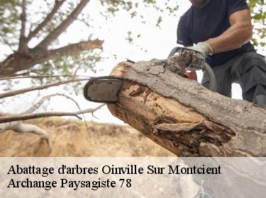 Abattage d'arbres  oinville-sur-montcient-78250 Archange Paysagiste 78