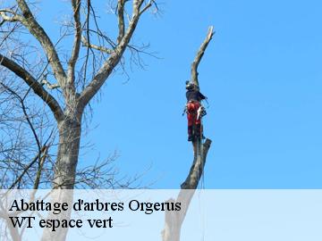 Abattage d'arbres orgerus-78910 WT espace vert