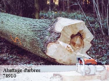 Abattage d'arbres orgerus-78910 WT espace vert