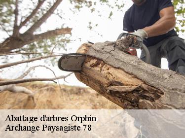 Abattage d'arbres  orphin-78125 Archange Paysagiste 78