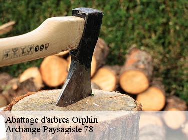 Abattage d'arbres  orphin-78125 Archange Paysagiste 78