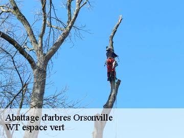 Abattage d'arbres orsonville-78660 Archange Paysagiste 78