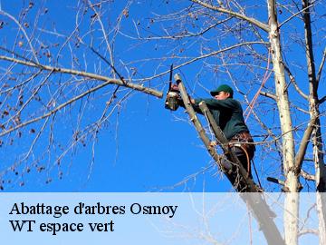 Abattage d'arbres osmoy-78910 Archange Elagage