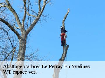 Abattage d'arbres le-perray-en-yvelines-78610 WT espace vert