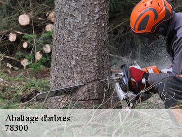 Abattage d'arbres poissy-78300 WT espace vert