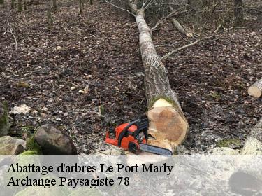 Abattage d'arbres  le-port-marly-78560 Archange Paysagiste 78