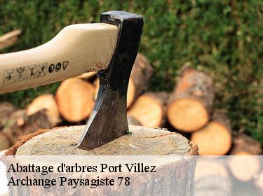 Abattage d'arbres  port-villez-78270 Archange Paysagiste 78