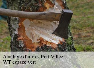 Abattage d'arbres port-villez-78270 WT espace vert