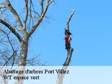 Abattage d'arbres port-villez-78270 WT espace vert