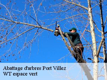 Abattage d'arbres port-villez-78270 WT espace vert