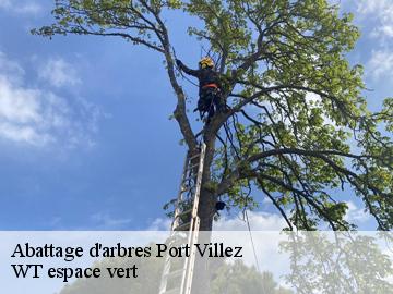 Abattage d'arbres port-villez-78270 WT espace vert