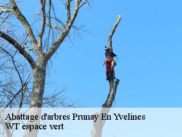 Abattage d'arbres prunay-en-yvelines-78660 WT espace vert