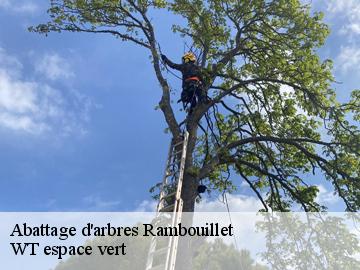 Abattage d'arbres rambouillet-78120 WT espace vert