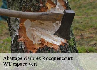 Abattage d'arbres rocquencourt-78150 Archange Paysagiste 78