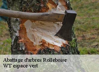 Abattage d'arbres rolleboise-78270 WT espace vert