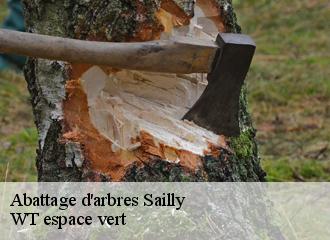 Abattage d'arbres  sailly-78440 Archange Paysagiste 78