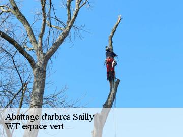 Abattage d'arbres  sailly-78440 Archange Paysagiste 78