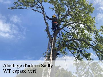 Abattage d'arbres sailly-78440 WT espace vert