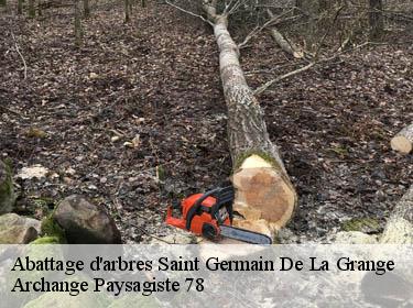 Abattage d'arbres  saint-germain-de-la-grange-78640 Archange Elagage