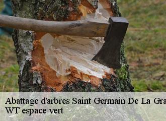 Abattage d'arbres saint-germain-de-la-grange-78640 WT espace vert