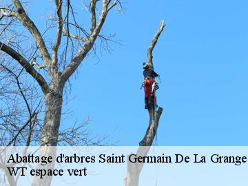 Abattage d'arbres saint-germain-de-la-grange-78640 WT espace vert