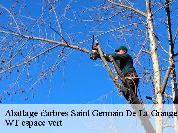 Abattage d'arbres saint-germain-de-la-grange-78640 WT espace vert