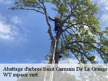 Abattage d'arbres saint-germain-de-la-grange-78640 WT espace vert