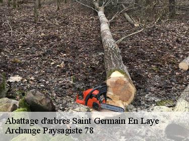 Abattage d'arbres  saint-germain-en-laye-78100 Archange Paysagiste 78