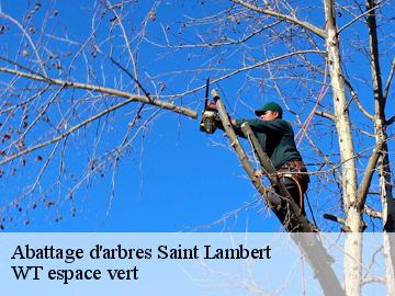 Abattage d'arbres saint-lambert-78470 Archange Paysagiste 78
