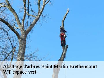 Abattage d'arbres saint-martin-brethencourt-78660 WT espace vert