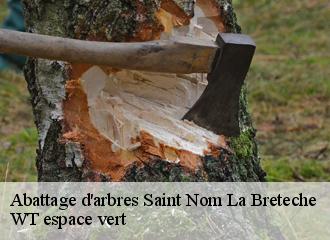 Abattage d'arbres saint-nom-la-breteche-78860 Archange Paysagiste 78