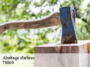 Abattage d'arbres  78860